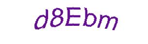عبارت امنیتی
