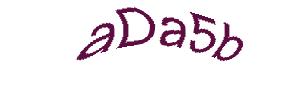 عبارت امنیتی