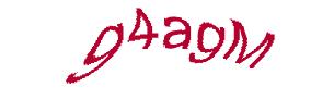 عبارت امنیتی