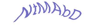 عبارت امنیتی