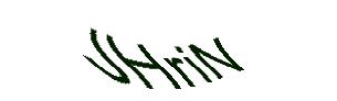 عبارت امنیتی