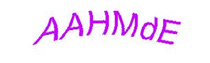عبارت امنیتی