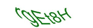 عبارت امنیتی