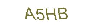عبارت امنیتی