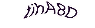 عبارت امنیتی
