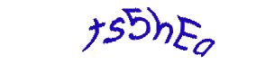 عبارت امنیتی