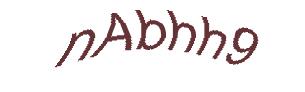 عبارت امنیتی