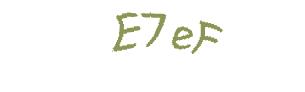 عبارت امنیتی