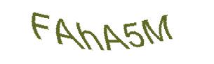 عبارت امنیتی