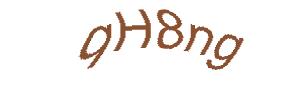 عبارت امنیتی