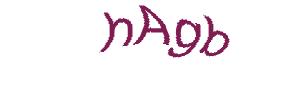 عبارت امنیتی