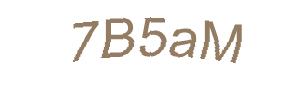 عبارت امنیتی