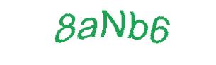 عبارت امنیتی