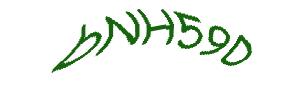 عبارت امنیتی