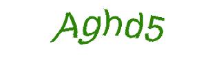 عبارت امنیتی