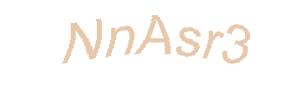 عبارت امنیتی
