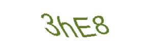 عبارت امنیتی