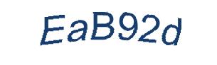 عبارت امنیتی