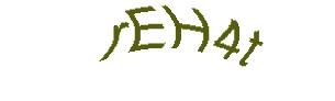 عبارت امنیتی