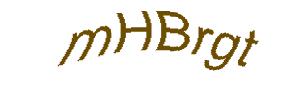 عبارت امنیتی