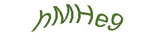 عبارت امنیتی