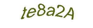 عبارت امنیتی