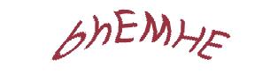 عبارت امنیتی