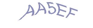 عبارت امنیتی