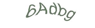 عبارت امنیتی