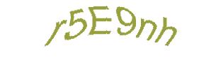 عبارت امنیتی