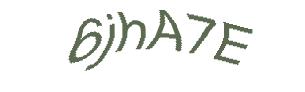 عبارت امنیتی