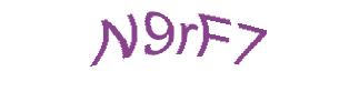 عبارت امنیتی