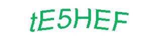 عبارت امنیتی