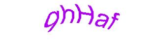 عبارت امنیتی