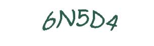 عبارت امنیتی