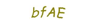 عبارت امنیتی