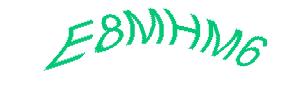 عبارت امنیتی