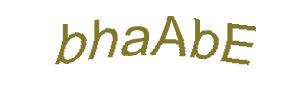 عبارت امنیتی