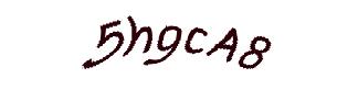 عبارت امنیتی