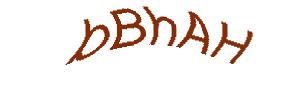 عبارت امنیتی