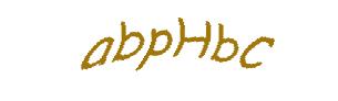 عبارت امنیتی