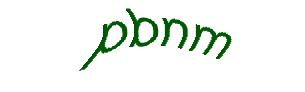 عبارت امنیتی