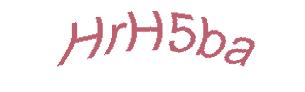 عبارت امنیتی