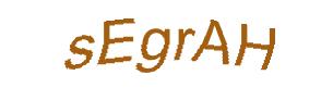 عبارت امنیتی