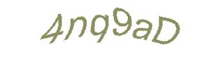 عبارت امنیتی