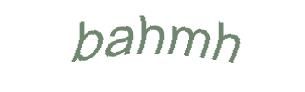 عبارت امنیتی