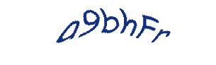 عبارت امنیتی
