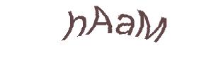 عبارت امنیتی