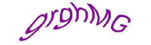 عبارت امنیتی
