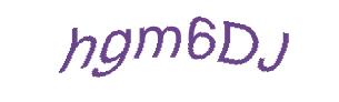 عبارت امنیتی